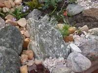 P1100621_600_450.webp