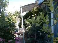 Wien 5.webp