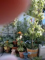 Wien 7.webp