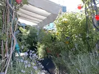 Wien 6.webp