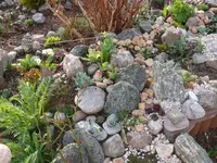 P1100640_600_450.webp
