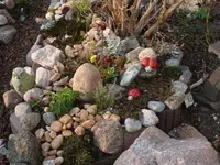 P1100641_600_450.webp