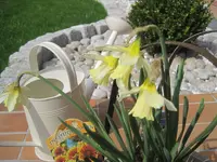002.webp