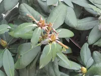 006.webp