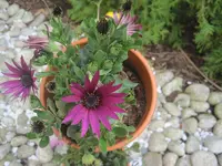 012.webp