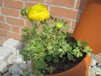 014.webp