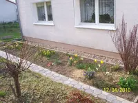 000_0072.webp