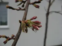 IMG_4904.webp