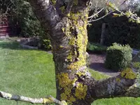 13042010069.webp