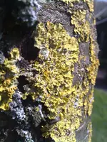 13042010070.webp