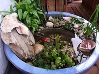 teich 037.webp