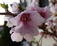 P1030307.webp