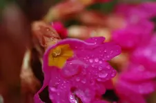 DSC_4690.webp