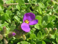 IMG_3519_1024x768.webp