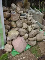 DSC04147.webp