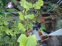 DSC00805.webp