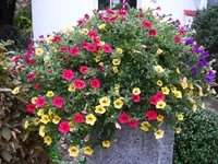 17.10.2009 011.webp