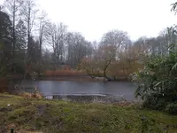 P1060623Teich.webp