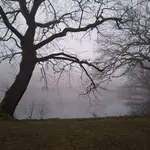 IMG-20250117-WA0002.webp