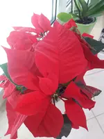 20250118_130325.webp
