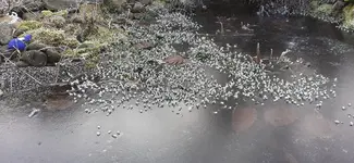 20250119_120129.webp