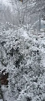 20250120_112742.webp