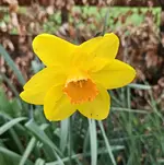 20250123_141024.webp