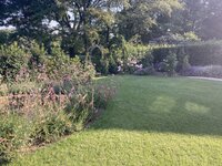 IMG_3434.jpeg