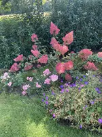 IMG_3804.webp