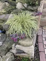 IMG_4002.webp