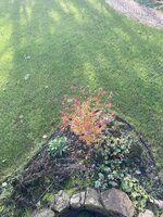 IMG_4718.jpeg
