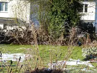 P1060651.webp