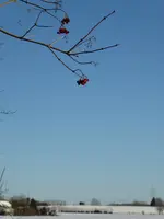 P1060677.webp
