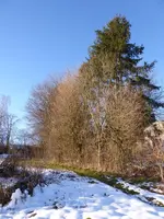 P1060679.webp