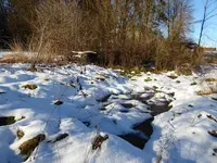 P1060680.webp