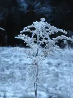 P1060691.webp