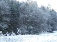 P1060694.webp