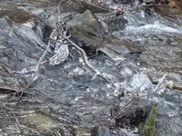 P1060700.webp