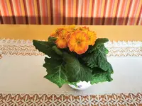 IMG_20250123_153806.webp