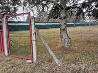 IMG_20250126_160625.webp IMG_20250126_160625.webp