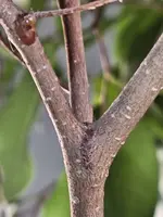 20250128_140012.webp