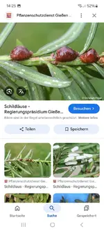 Screenshot_20250128_142530_Google.webp