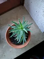20250130_074841.jpg
