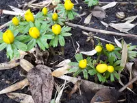 20250130_163249.webp
