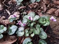 20250130_163407.webp