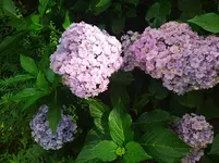 IMG_20230823_125639.webp