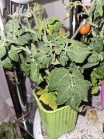 20250201_222335.jpg