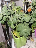 20250201_222335.jpg