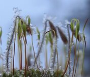 IMG_0049.JPG