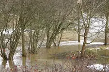 Hochwasser 1009.webp